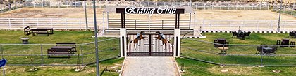 Horse Riding Club