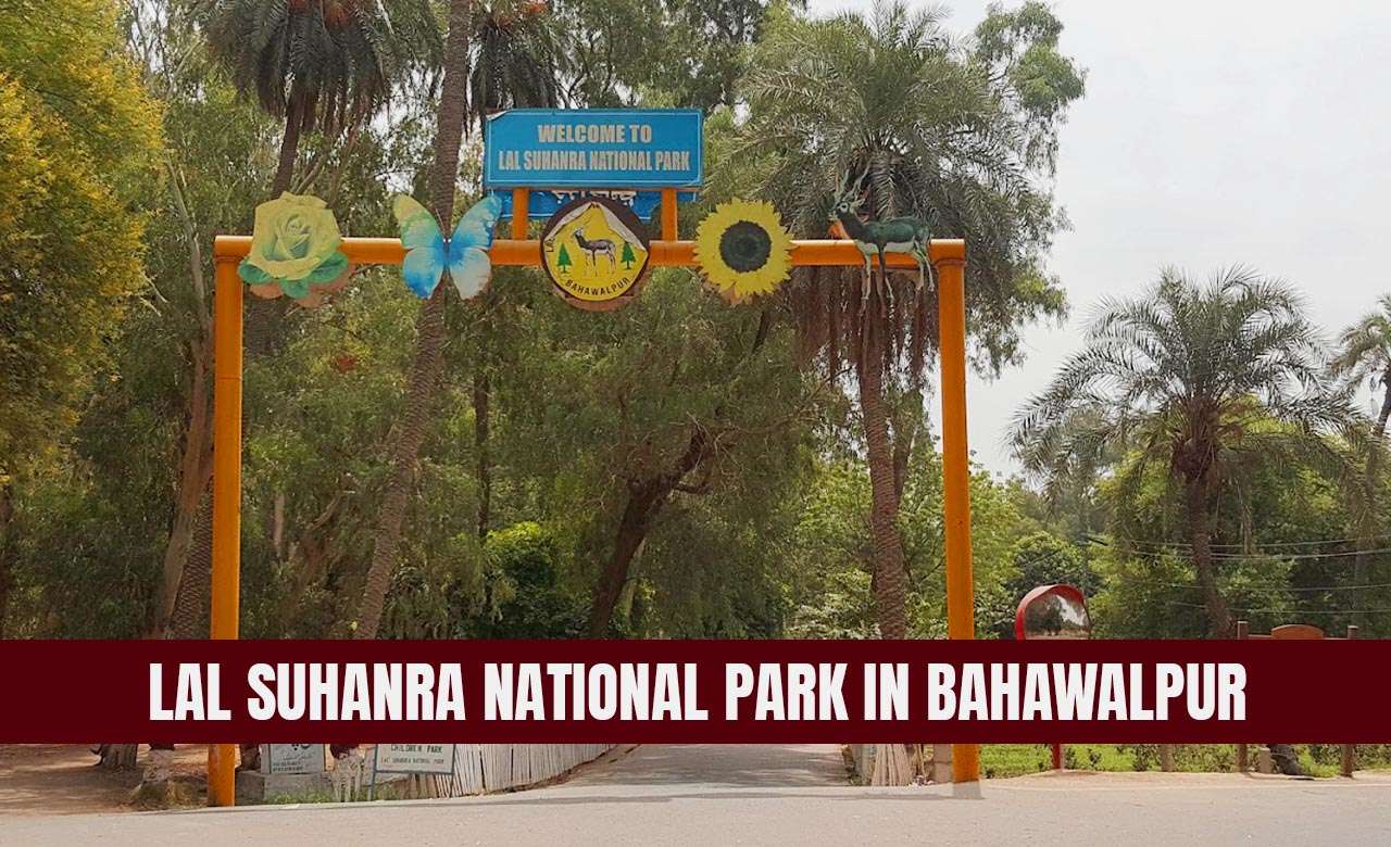 Lal Suhanra National Park in Bahawalpur